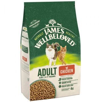 James Wellbeloved Adult Cat Dry Food Chicken & Rice 4kg