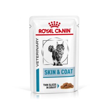 Royal Canin Skin and Coat Adult Cat - Wet Food 48x85g Pouches