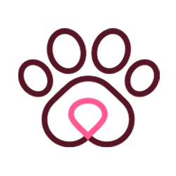 Affordable Pet Care